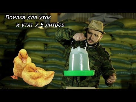 Видео: Обзор и тест поилки для уток