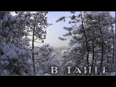 Видео: НАПРОЛОМ ПО ЗИМНЕЙ ТАЙГЕ ПЕШКОМ