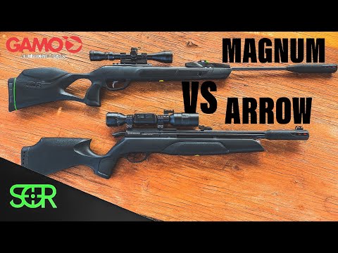 Видео: Gamo Arrow против Magnum Swarm 10X GEN3i — БИТВА ПНЕВМАТИЧЕСКОГО ОРУЖИЯ GAMO КАЛИБРА .22!