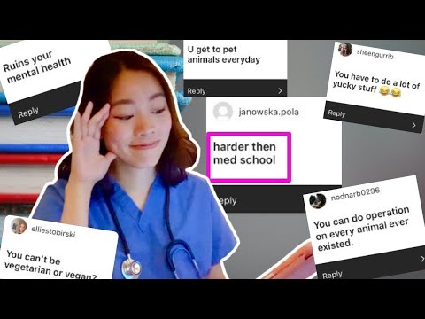 Видео: НЕ ИДИТЕ В ВЕТЕРИНАРНУЮ ШКОЛУ, если вы думаете...