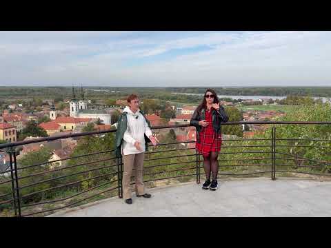 Видео: Моторная алалия и дизартрия. Схожее и отличия. Нарушения звукопроизношения.