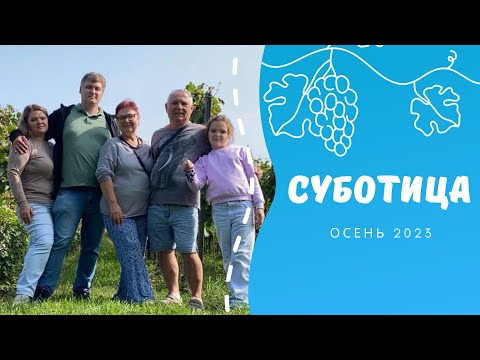 Видео: Сербия. Суботица / Озеро Палич / Винодельня Звонко Богдана. Осень 2022