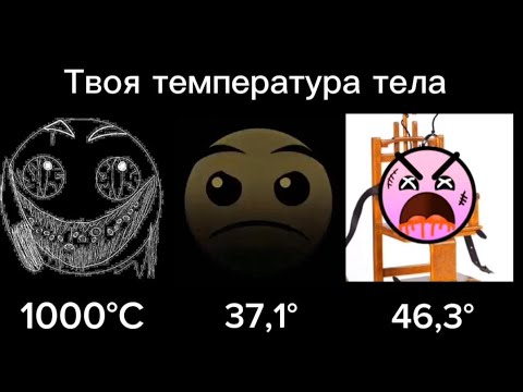 Видео: Температура тела /// лица ГД /// kotorus