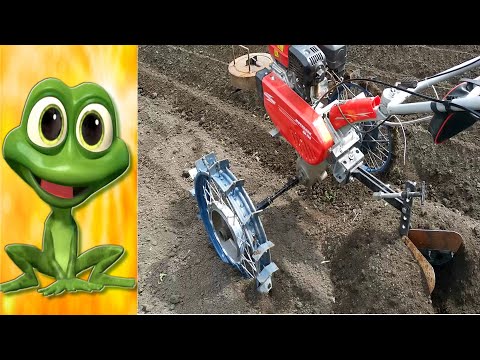 Видео: ПОСАДКА КАРТОФЕЛЯ.  Ну, почти под мотоблок😊 #житьназемле  #огород
