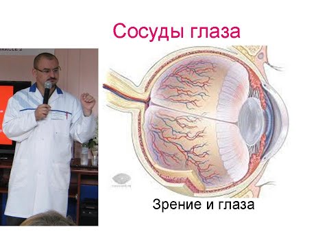 Видео: Кровоснабжение глаза. Его нарушение. Дисциркуляторная офтальмопатия.