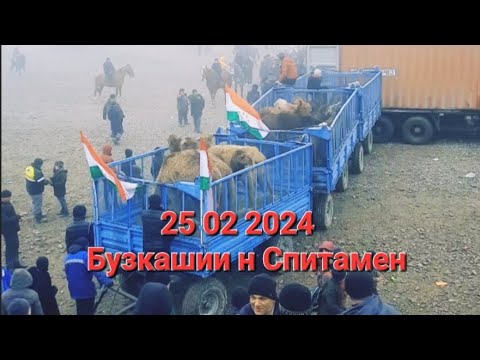 Видео: Бузкаши дар н Спитамен 25 02 2024 Подписаться лайк коментро фаромуш накунед