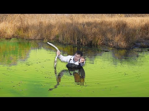 Видео: КАК ВЫБРАТЬСЯ ИЗ ДРЕМУЧЕГО БОЛОТА, ЕСЛИ ТЫ ПОГРЯЗ В НЕМ?