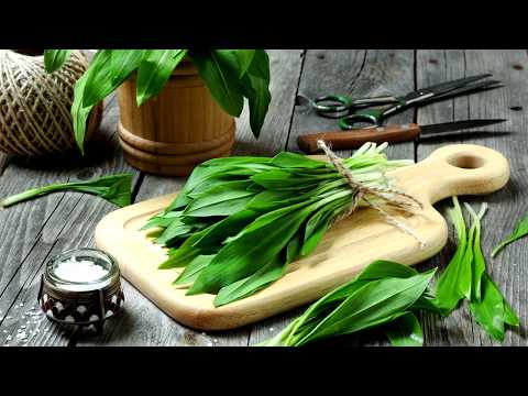 Видео: ЧЕМ ПОЛЕЗНА ЧЕРЕМША ДЛЯ ЧЕЛОВЕКА