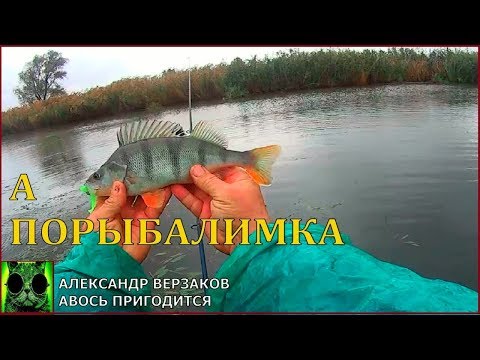 Видео: Окунь на резину. Сколько можно поймать на один твистер.