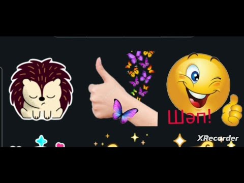 Видео: Дымка!!! Как ёжики в тумане 🤣🤣🤣