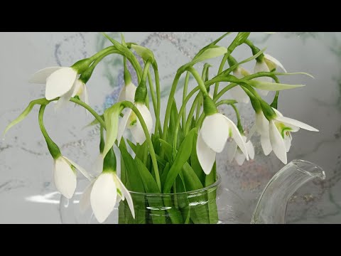 Видео: Подснежники холодный фарфор. Часть 2.