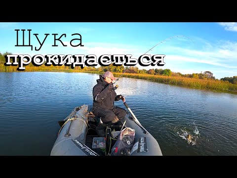 Видео: ЩУКА ПРОКИДАЄТЬСЯ. Секрети пошуку щуки раньою осінью.  /Always with Kruchkoff