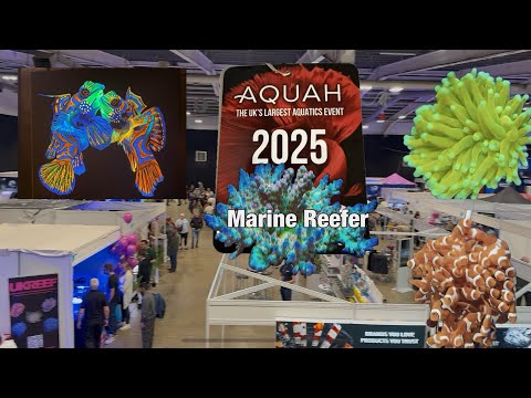 Видео: AQUAH 2025, крупнейшее водное мероприятие в Великобритании