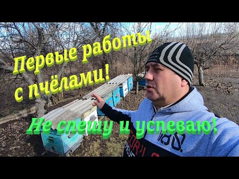 Видео: Какие работы с пчелами после облёта я делаю! Не спешу пчеловодить и не зеваю!