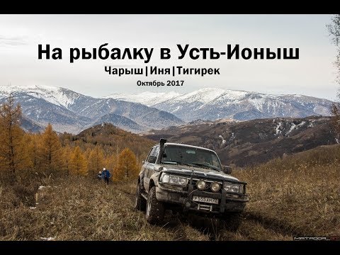 Видео: Рыбалка  Усть-Ионыш, Иня осенью | Чарыш, Тигирек, Иня | Toyota Land Cruiser 80 в горах Алтая
