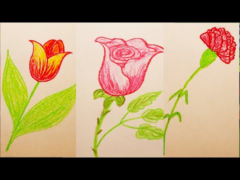 Видео: Как научиться рисовать ЦВЕТЫ ТЮЛЬПАН РОЗА И ГВОЗДИКА&Урок рисования цветов для детей любого возраста