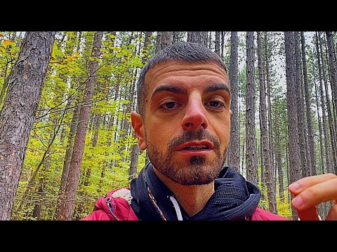 Видео: Просто се отпусни, това което предстои ще те шокира 