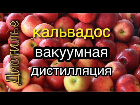 Видео: Вакуумная дистилляция кальвадоса на Люкссталь 8М. Часть 3