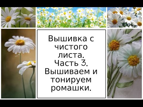 Видео: МК. Вышивка с чистого листа. Часть 3. Вышиваем и тонируем ромашки. Разживалова Наталья