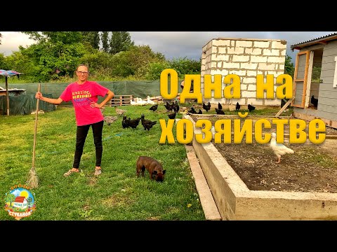 Видео: #271 Осталась одна на хозяйстве, пока муж в разъездах. Гнилые овощи на грядках / Переезд на ЮГ