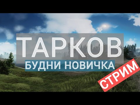 Видео: ✅ТАРКОВ СТРИМ| Новичек в Таркове | EoD | PvP #tarkov