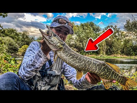 Видео: ДИВИ ЩУКИ! 100 ГОДИШНО КАНЧЕ! Риболов на ЩУКА по ДИВИ МЕСТА