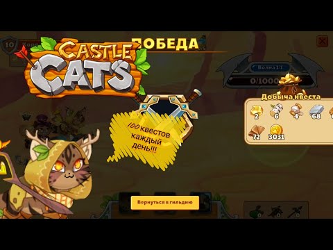 Видео: Челлендж: Проходим 100 квестов каждый день Castle Cats