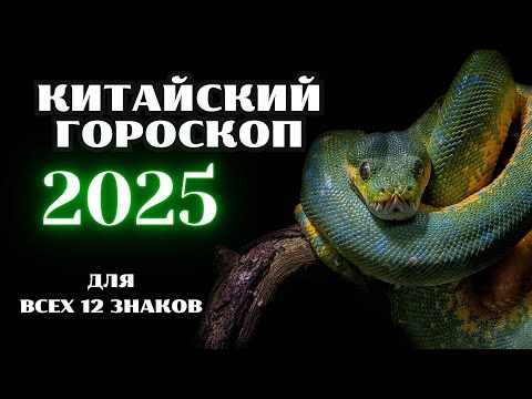 Видео: КИТАЙСКИЙ ГОРОСКОП НА 2025 ГОД ПО ГОДУ РОЖДЕНИЯ / ВОСТОЧНЫЙ  ГОРОСКОП 2025 ГОД