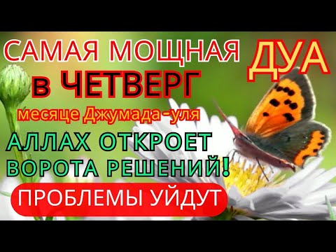 Видео: Дуа В ЧЕТВЕРГ ДАЕТ УВАЖЕНИЕ, БОГАТСТВО,РИЗК,ДЕНЬГИ,УСПЕХ И СЧАСТЬЕ! #дуа  🔑🤲