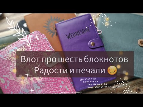 Видео: Влог про шесть блокнотов. Радости и печали).