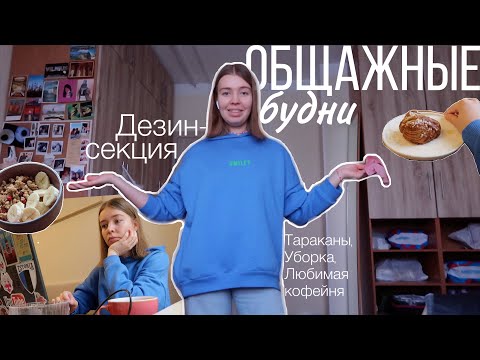Видео: ДЕНЬ ИЗ ЖИЗНИ СТУДЕНТА: Дезинсекция, Прячу Все Вещи, Новое Любимое Местечко и Шведская Булочка