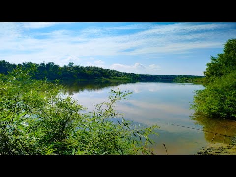 Видео: РЫБАЛКА В ШИЛОВО, еду за карасём и сазаном на реку Дон