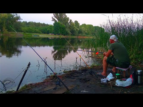Видео: ЗАКИНУВ КОРМАЧКИ ПІД БЕРЕГ І ВІДРАЗУ ПОПЕРЛО. рибалка на кормачки