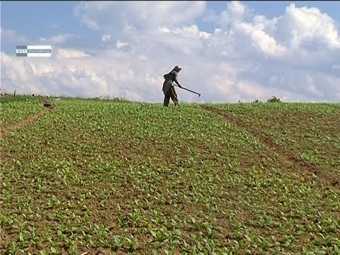 Видео: Щрихи от нашите села - село Церово