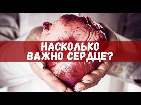 Видео: Как сердце влияет на результаты? ПУЛЬС и ДАВЛЕНИЕ
