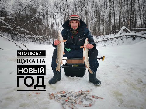 Видео: Предновогодняя рыбалка на жерлицы и не только...