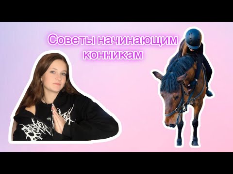 Видео: Советы начинающим конникам / конное видео / equestrian video