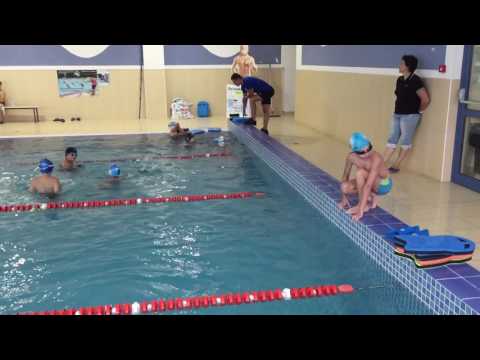 Видео: Марти скача в басейна