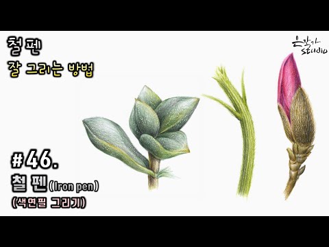 Видео: [Цветочная живопись / Ботаническое искусство] № 46. Как хорошо рисовать железной ручкой !!