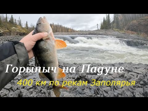 Видео: На рыбалку к водопаду Тимана-1. Народная рыба и монстры в пене.