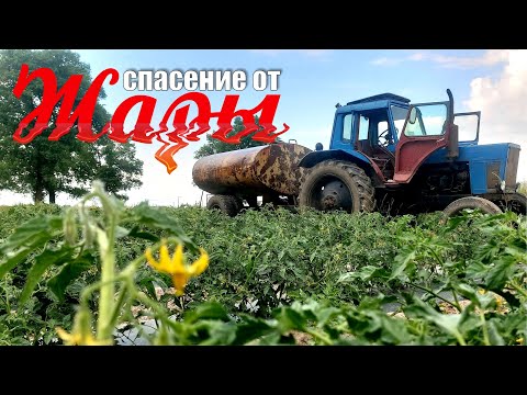 Видео: технология КАПЕЛЬНОГО ПОЛИВА на ПОЛЯХ