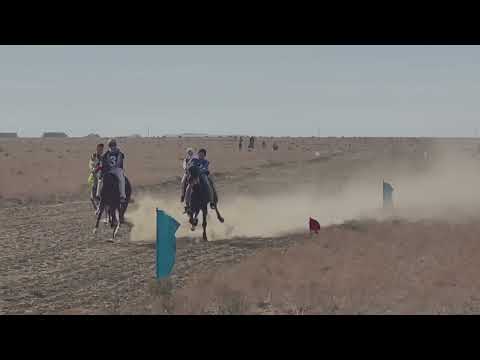Видео: Бәйге 20.10.2022 Құлсары