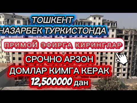 Видео: OʻZBEGIM_UYLARI  в прямом эфире!