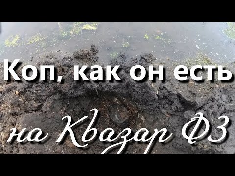 Видео: Коп , как он есть , на Квазар Ф3 . Интересный коп монет и не монет.