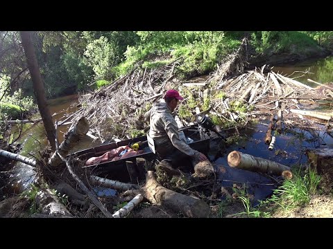 Видео: Сплав на лодке по таёжной реке. Остановка на первую избу. 9 серия /Поход ФОТОЛОВУШКА Июнь 2022/