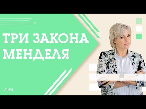 Видео: Как решать задачи на законы Менделя?