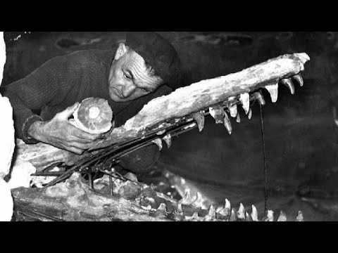 Видео: Как ученые намеренно уничтожили древний исторически важный город