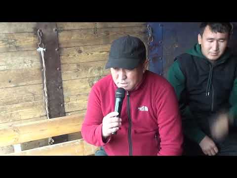 Видео: 05 11 2022 Кокпар ++