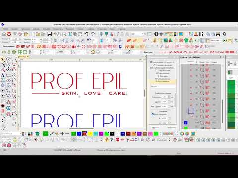 Видео: Рассмотрим разные типы автоотцифровки / Exploring Different Types of Auto-Digitizing -Wilcom e4.2