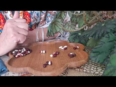 Видео: 7 ноября 2025 г.